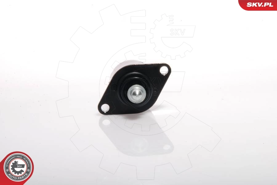 Idle Control Valve, air supply